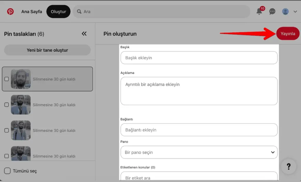 pin ayrıntılarını girin ve taslak pin yayınlanacak