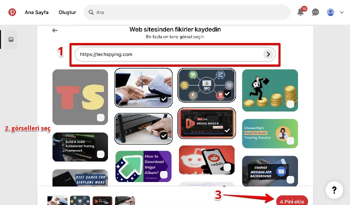 web sitesi adresini girin,görselleri seçin ve pins düğmesine tıklayın
